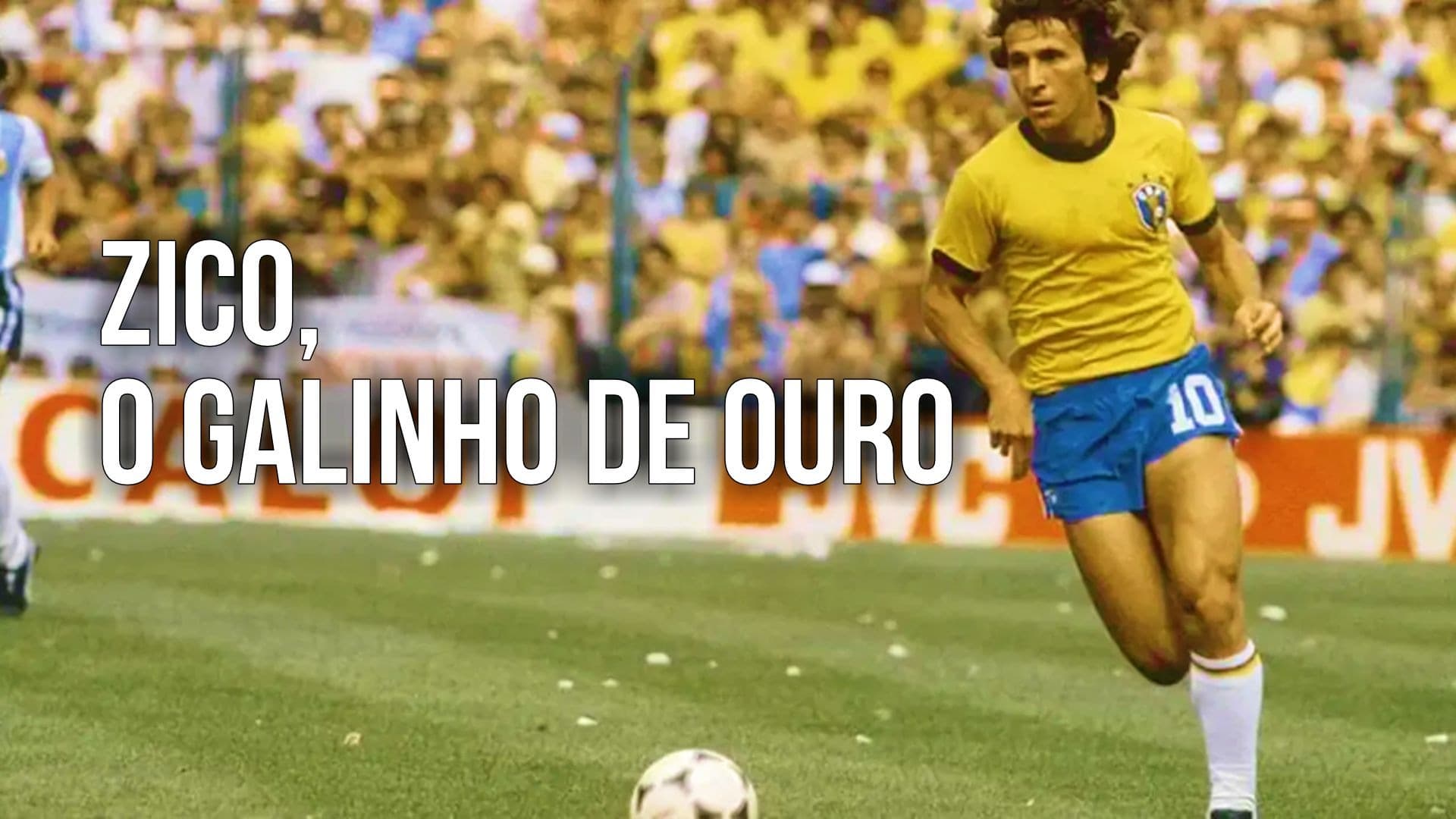 Zico, o Galinho de Ouro